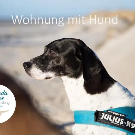 Haus Am Seezeichen - Whg. Luerssen Апартаменты *